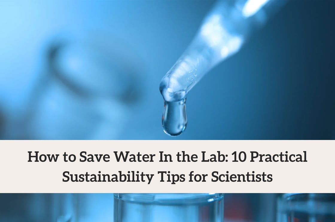 newsletter images (64)